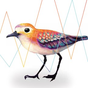 Planet in Focus Film&nbsp;Festival